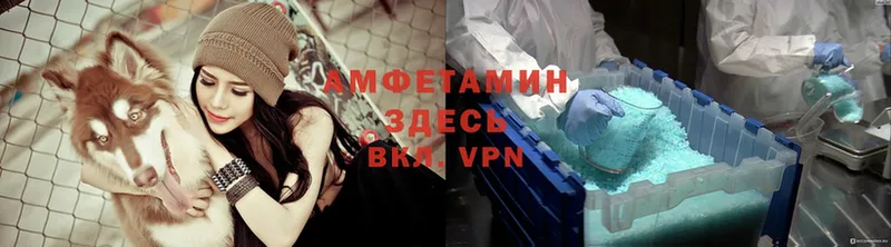 OMG как войти  где купить наркоту  Новоузенск  АМФЕТАМИН VHQ 