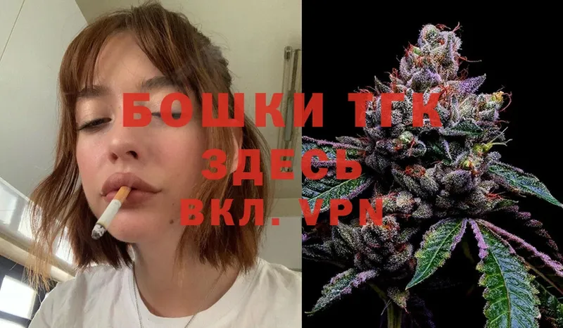 Конопля OG Kush  Новоузенск 